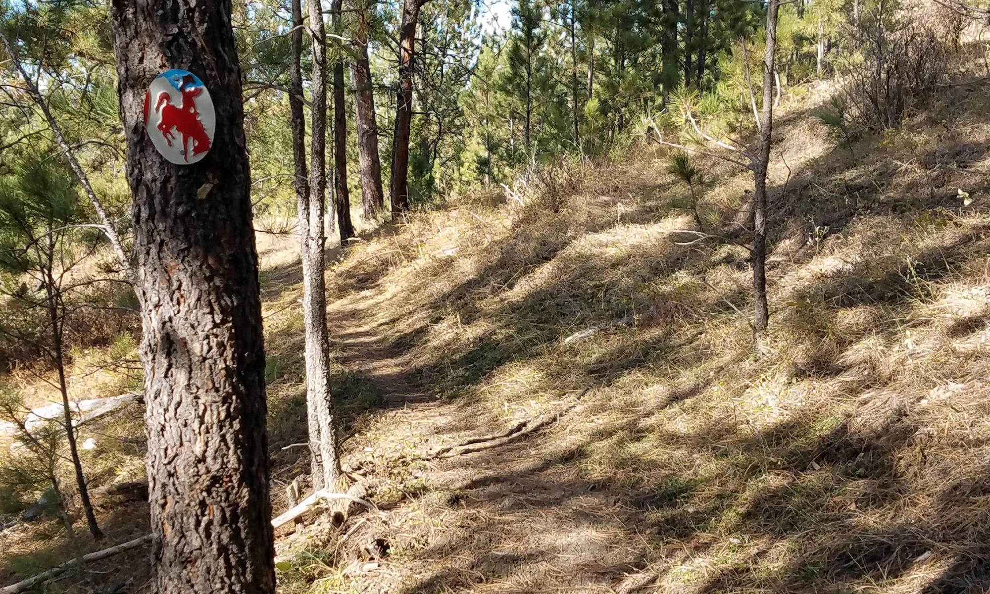 Trails at the Flying V are marked with reflective license plate cutouts