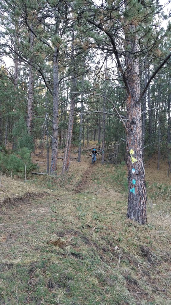 Mountain biker riding through the tress at the Flying V