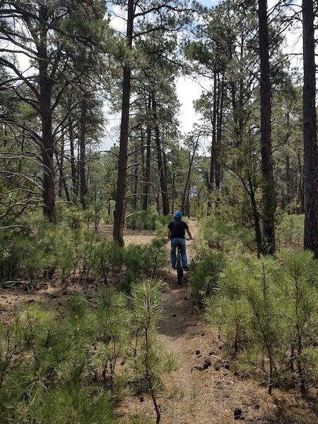 Mountain bike rider on the Clay Spur Trails